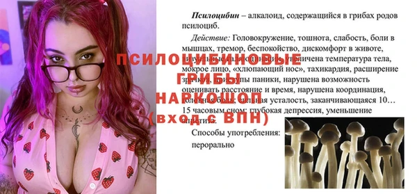 спайс Алзамай