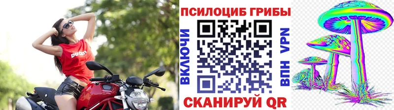 купить закладку мориарти клад Псилоцибиновые грибы Psilocybine cubensis Алушта